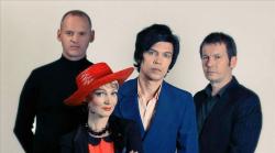 The Primitives